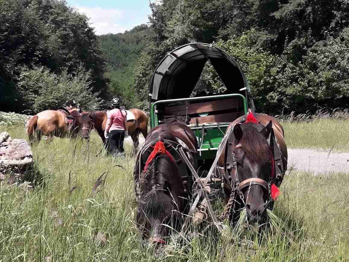 Trasa k zrubovému včelínu Medová Baba